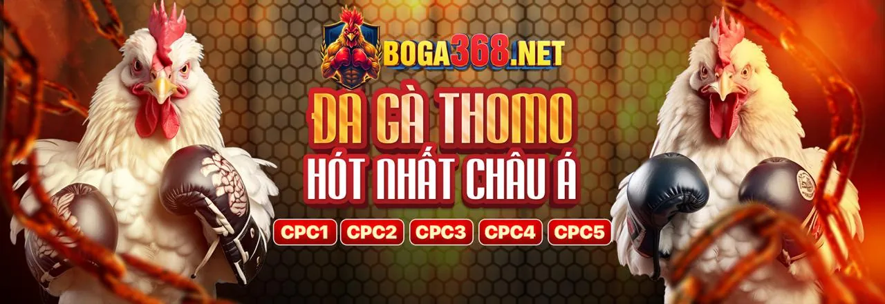 Các điều khoản và điều kiện pháp lý của 88t