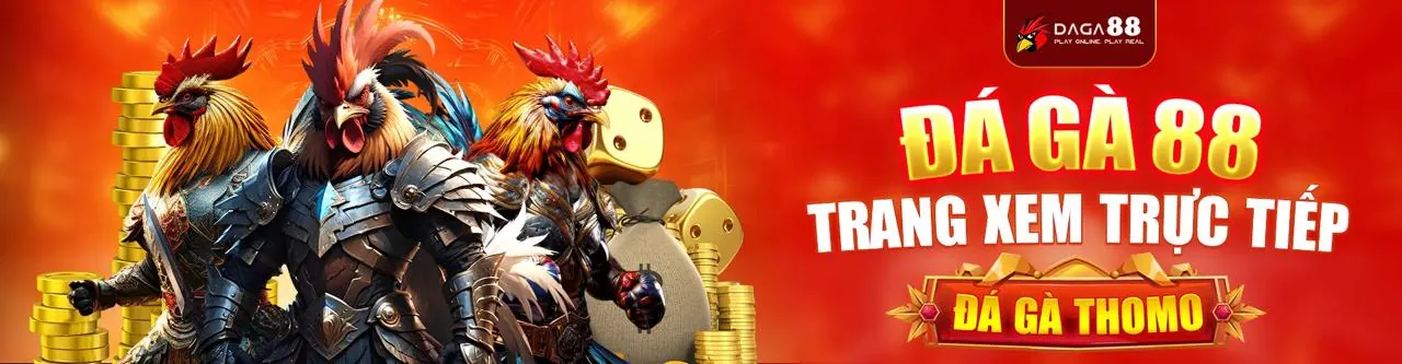 Sân đấu đá gà trực tuyến 88t sôi động